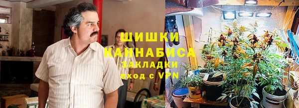 молекула духа Белокуриха