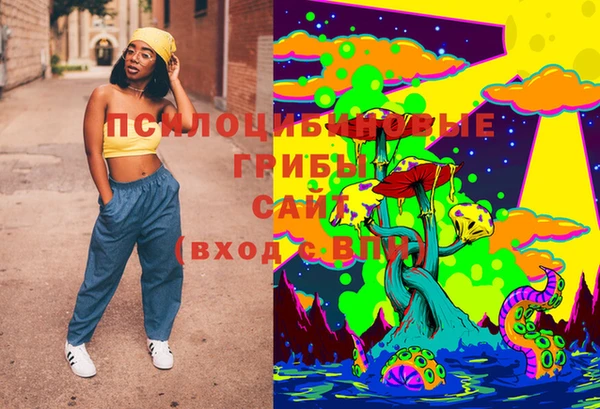 молекула духа Белокуриха